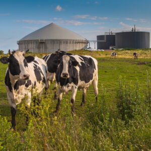 Biological Waste Treatment Processes